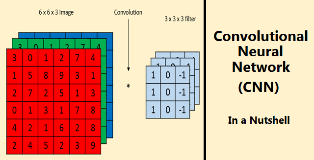 What is Convolution Neural Network?