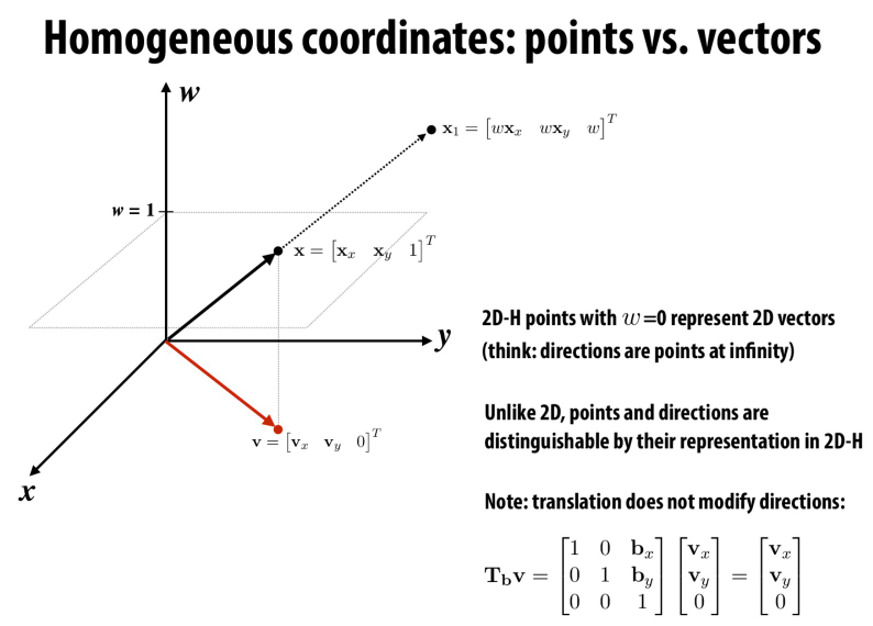 Homogeneous coordinate (동차 좌표계)